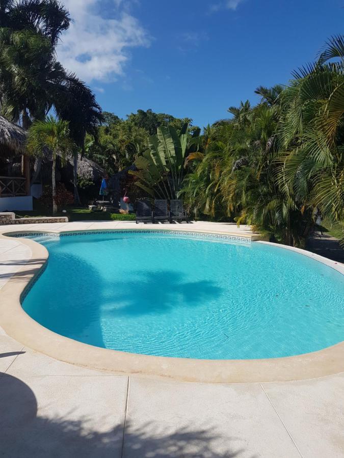 Casa Flamingo Villa Las Terrenas Bagian luar foto