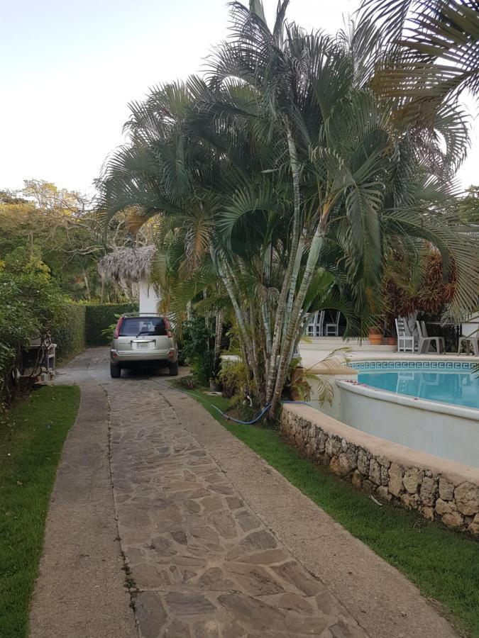 Casa Flamingo Villa Las Terrenas Bagian luar foto